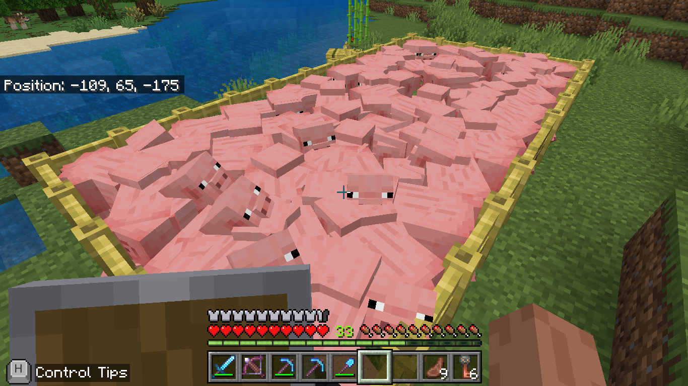 pig Blank Meme Template