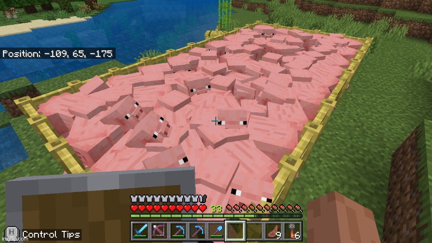 is this too much pigs | image tagged in pig | made w/ Imgflip meme maker