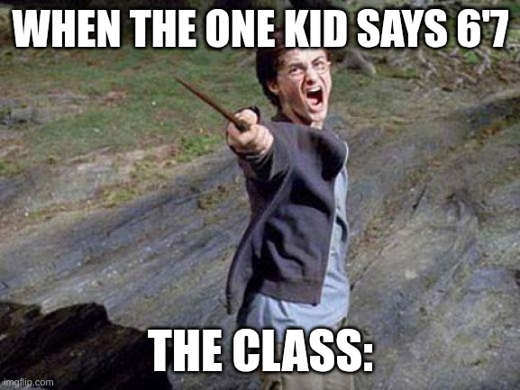Harry Potter Yelling | WHEN THE ONE KID SAYS 6'7; THE CLASS: | image tagged in harry potter yelling,67 | made w/ Imgflip meme maker