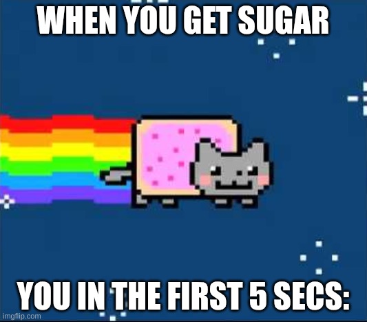 Nyon cat | WHEN YOU GET SUGAR; YOU IN THE FIRST 5 SECS: | image tagged in nyon cat,sugar | made w/ Imgflip meme maker