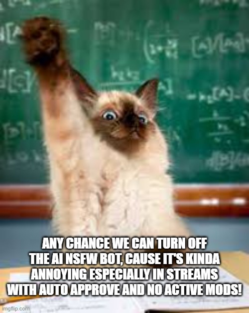 NSFW Auto is Annoying | ANY CHANCE WE CAN TURN OFF THE AI NSFW BOT, CAUSE IT'S KINDA ANNOYING ESPECIALLY IN STREAMS WITH AUTO APPROVE AND NO ACTIVE MODS! | image tagged in raised hand cat | made w/ Imgflip meme maker