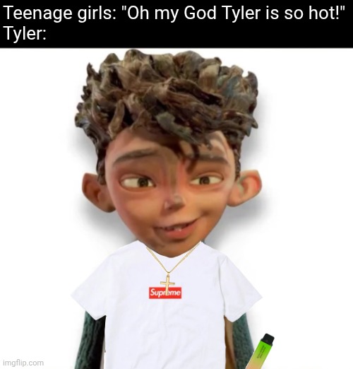 Gen Z boys | Teenage girls: "Oh my God Tyler is so hot!"
Tyler: | image tagged in teenagers,gen z | made w/ Imgflip meme maker
