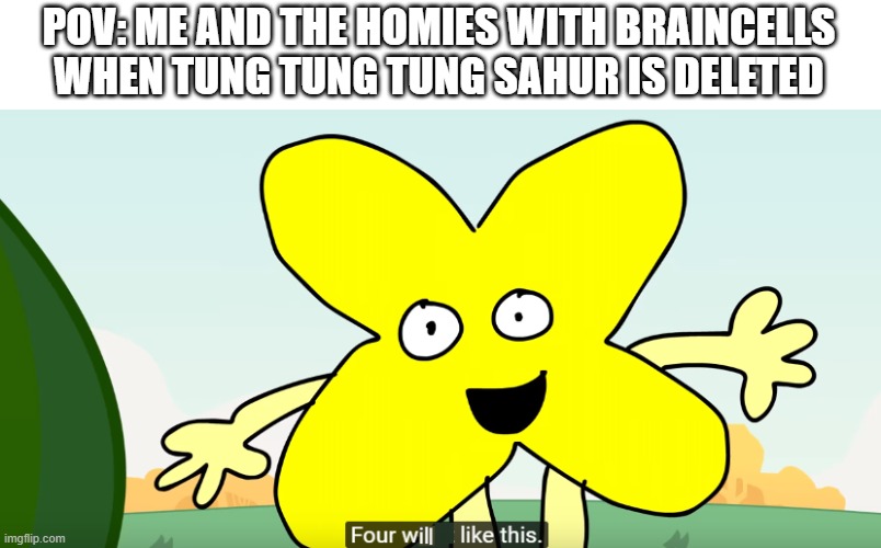 POV: ME AND THE HOMIES WITH BRAINCELLS WHEN TUNG TUNG TUNG SAHUR IS DELETED | made w/ Imgflip meme maker