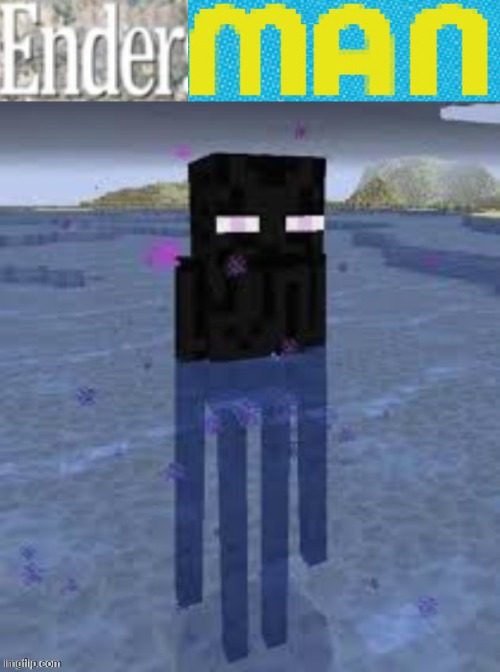 image tagged in what,cursed enderman | made w/ Imgflip meme maker