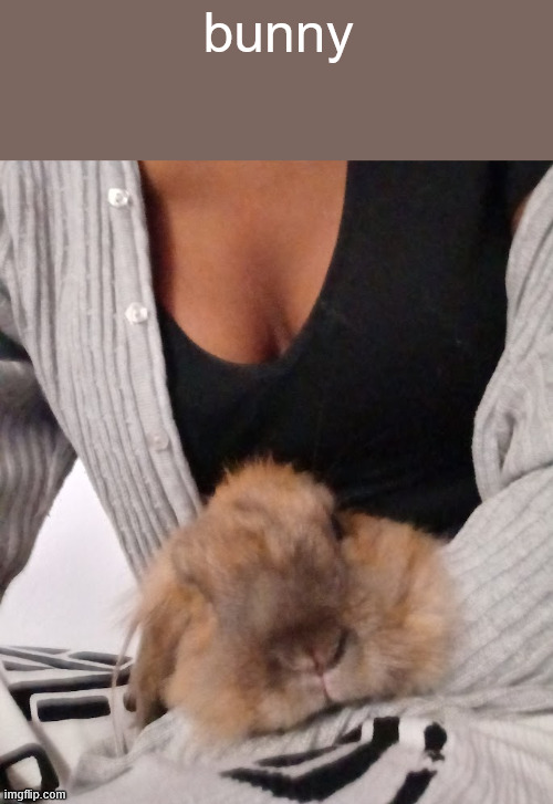 bunny | made w/ Imgflip meme maker