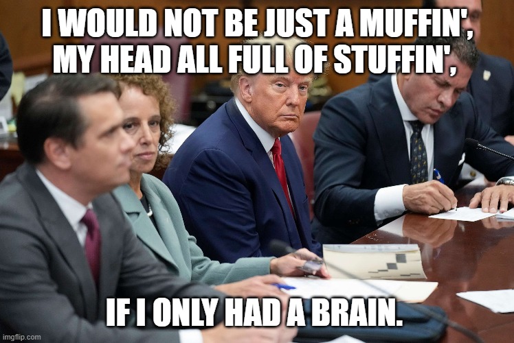 Nuttin, Honey | I WOULD NOT BE JUST A MUFFIN',
MY HEAD ALL FULL OF STUFFIN', IF I ONLY HAD A BRAIN. | image tagged in trump | made w/ Imgflip meme maker