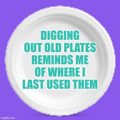 Plates bring back good memories | DIGGING OUT OLD PLATES REMINDS ME OF WHERE I LAST USED THEM | image tagged in plate,memory,reminder,memories | made w/ Imgflip meme maker
