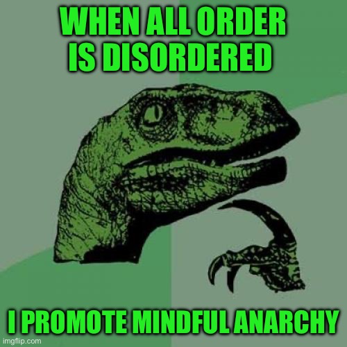 Philosoraptor | WHEN ALL ORDER IS DISORDERED; I PROMOTE MINDFUL ANARCHY | image tagged in memes,philosoraptor | made w/ Imgflip meme maker