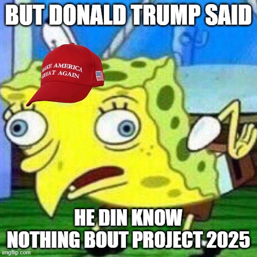 MAGA is so brainless | BUT DONALD TRUMP SAID; HE DIN KNOW NOTHING BOUT PROJECT 2025 | image tagged in trump,maga,pedos,2025,nazis | made w/ Imgflip meme maker
