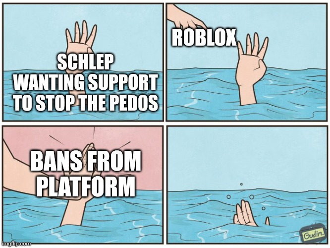 Schlep why | ROBLOX; SCHLEP WANTING SUPPORT TO STOP THE PED0S; BANS FROM PLATFORM | image tagged in high five drown | made w/ Imgflip meme maker