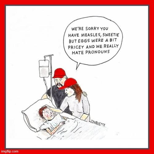image tagged in pronouns,vaccines,eggs,maga,sick | made w/ Imgflip meme maker