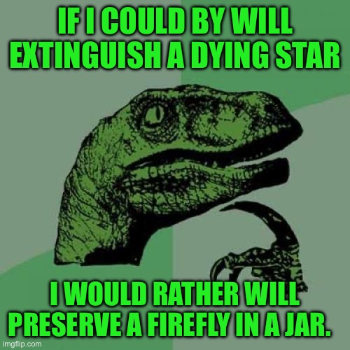 Philosoraptor | IF I COULD BY WILL EXTINGUISH A DYING STAR; I WOULD RATHER WILL PRESERVE A FIREFLY IN A JAR. | image tagged in memes,philosoraptor | made w/ Imgflip meme maker