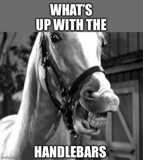 mr. ed | WHAT’S UP WITH THE HANDLEBARS | image tagged in mr ed | made w/ Imgflip meme maker