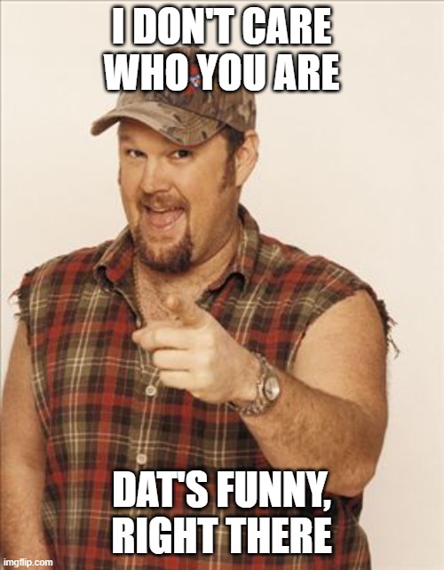 Larry The Cable Guy | I DON'T CARE WHO YOU ARE DAT'S FUNNY, RIGHT THERE | image tagged in larry the cable guy | made w/ Imgflip meme maker