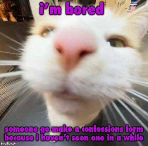 b | i’m bored; someone go make a confessions form because i haven’t seen one in a while | image tagged in b | made w/ Imgflip meme maker