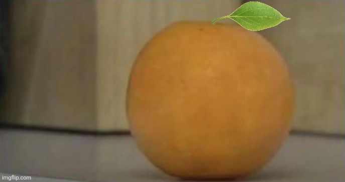 Annoying Orange Faceless Template | image tagged in annoying orange faceless template | made w/ Imgflip meme maker