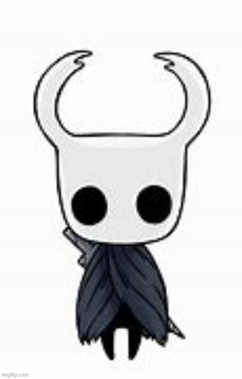 Hollow Knight | image tagged in hollow knight | made w/ Imgflip meme maker