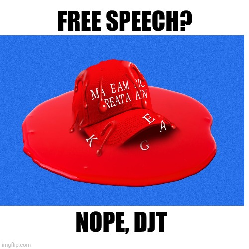 Blank Transparent Square Meme | FREE SPEECH? NOPE, DJT | image tagged in memes,blank transparent square | made w/ Imgflip meme maker