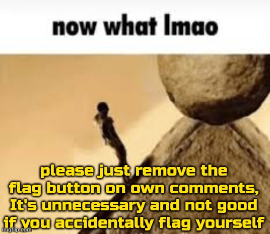 suggesting things part 3 | please just remove the flag button on own comments, It's unnecessary and not good if you accidentally flag yourself | image tagged in now what lmao | made w/ Imgflip meme maker