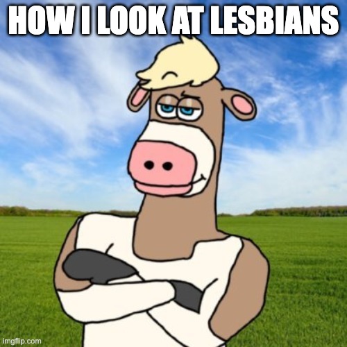 not made to be homophobic btw | HOW I LOOK AT LESBIANS | image tagged in black lives matter,lgbtq,fun,straight,single,yeah this is big brain time | made w/ Imgflip meme maker