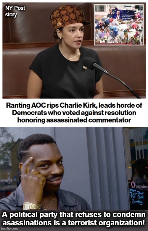 Libs of TikTok on AOC: “Absolutely disgusting and evil.” | NY Post
story; A political party that refuses to condemn asassinations is a terrorist organization! | image tagged in memes,roll safe think about it,crazy aoc,democrats,charlie kirk,terrorists | made w/ Imgflip meme maker