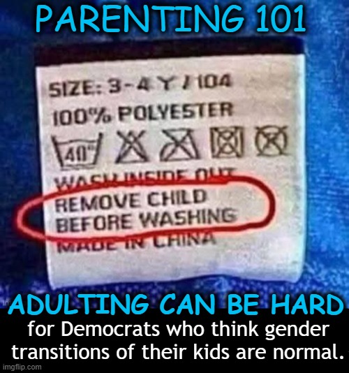 Public Service Announcement | PARENTING 101; ADULTING CAN BE HARD; for Democrats who think gender
transitions of their kids are normal. | image tagged in adulting,parents,bad parents,transgender,basic,parenting | made w/ Imgflip meme maker