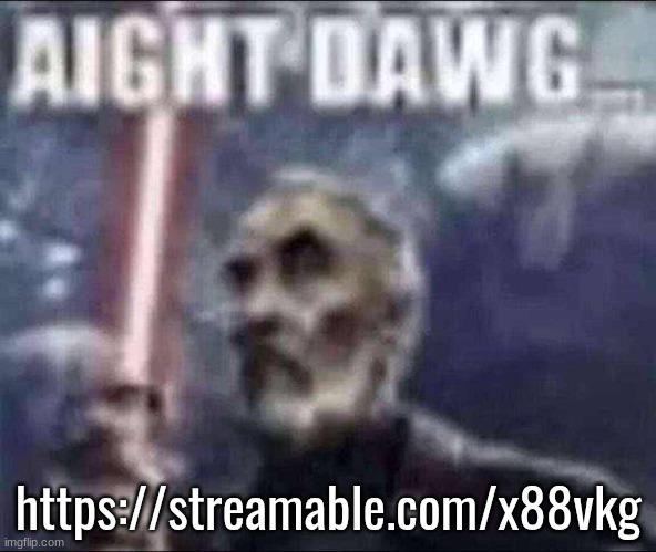 aight dawg | https://streamable.com/x88vkg | image tagged in aight dawg | made w/ Imgflip meme maker