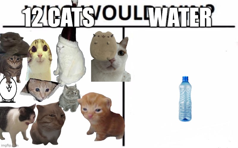 I'm choosing water. | 12 CATS; WATER | image tagged in memes,who would win,cats,water | made w/ Imgflip meme maker