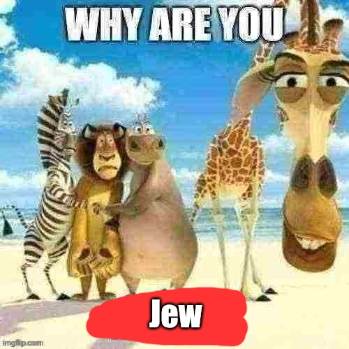 why are you black? | Jew | image tagged in why are you black | made w/ Imgflip meme maker