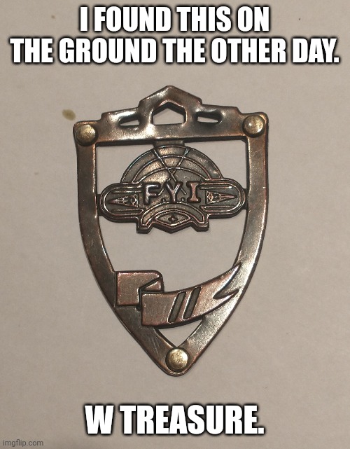 FYI = For Your Information | I FOUND THIS ON THE GROUND THE OTHER DAY. W TREASURE. | image tagged in fyi,for your information,treasure,w | made w/ Imgflip meme maker