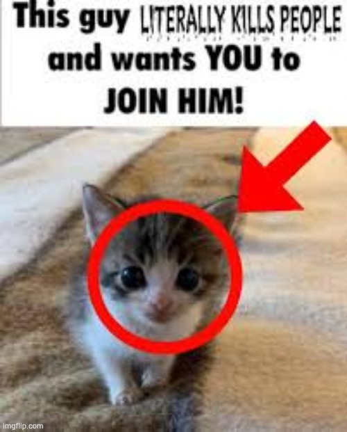 image tagged in cats | made w/ Imgflip meme maker