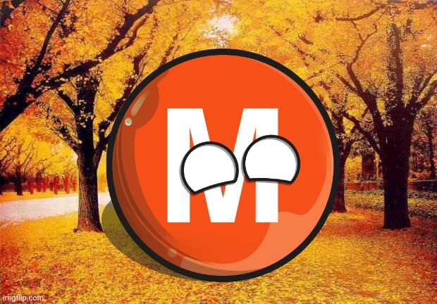 I'm at fall | image tagged in autumn trees | made w/ Imgflip meme maker