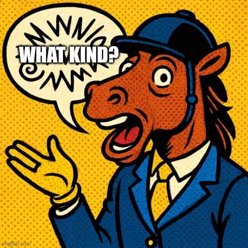 Horseman rambling about nonsense | WHAT KIND? | image tagged in horseman rambling about nonsense | made w/ Imgflip meme maker