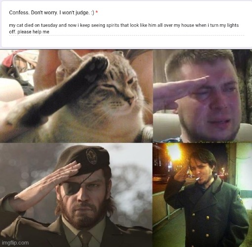 I don't care about anything else atp. That cat better be in heaven or I'll be in hell. | image tagged in ozon's salute | made w/ Imgflip meme maker