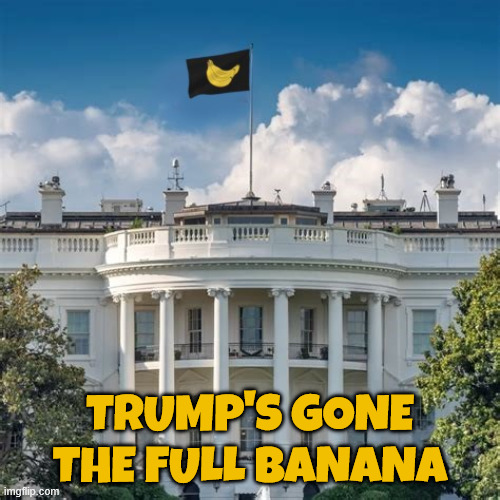 Trump's gone the full banana | TRUMP'S GONE THE FULL BANANA | image tagged in trump's gone the full banana,1st amendment shot down,tyrump resigns from president,trump becomes the america's 1st dictator | made w/ Imgflip meme maker