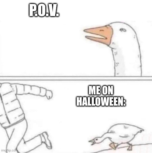 Scary Goose | P.O.V. ME ON HALLOWEEN: | image tagged in goose chase | made w/ Imgflip meme maker