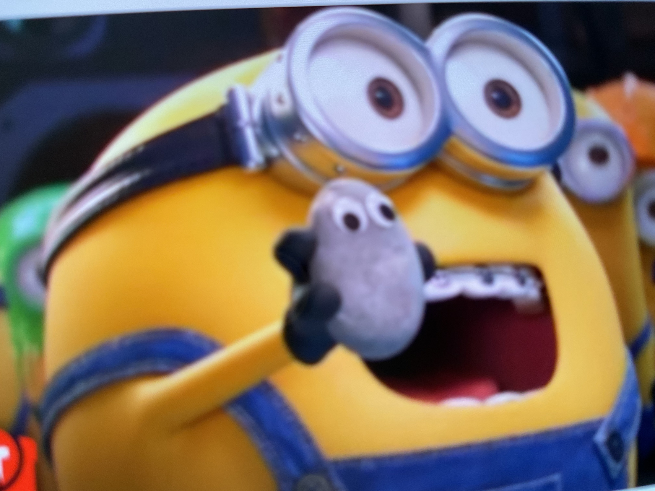 Otto pig Blank Meme Template