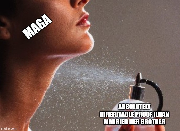 MAGA; ABSOLUTELY IRREFUTABLE PROOF ILHAN MARRIED HER BROTHER | image tagged in politics | made w/ Imgflip meme maker