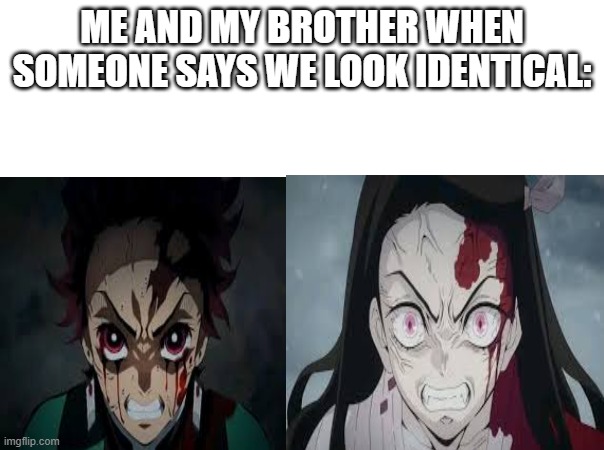 ME AND MY BROTHER WHEN SOMEONE SAYS WE LOOK IDENTICAL: | made w/ Imgflip meme maker
