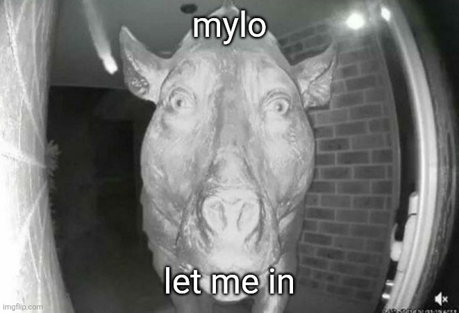 pretty please | mylo; let me in | made w/ Imgflip meme maker