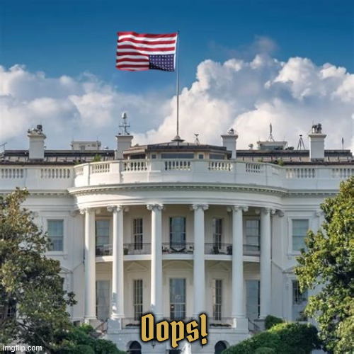 Oopsie! | Oops! | image tagged in oopsie,america in distress,maga autocrat,donalf trumpler | made w/ Imgflip meme maker