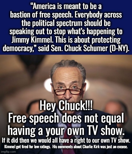 Chuck your expiration date was 05/05/1545.  You've gone way off and you stink.  It's time to retire. | “America is meant to be a bastion of free speech. Everybody across the political spectrum should be speaking out to stop what’s happening to Jimmy Kimmel. This is about protecting democracy,” said Sen. Chuck Schumer (D-NY). Hey Chuck!!!
Free speech does not equal having a your own TV show. If it did then we would all have a right to our own TV show. Kimmel got fired for low ratings.  His comments about Charlie Kirk was just an excuse. | image tagged in idiot chuck schumer | made w/ Imgflip meme maker
