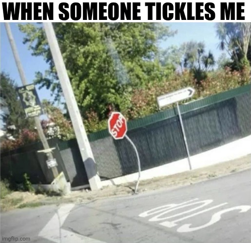 When Someone Tickles Me | WHEN SOMEONE TICKLES ME | image tagged in chrisjoines1 | made w/ Imgflip meme maker
