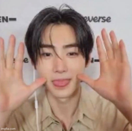 sunghoon reaction pic 12 | image tagged in sunghoon reaction pic 12 | made w/ Imgflip meme maker