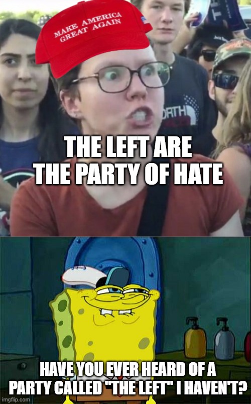 THE LEFT ARE THE PARTY OF HATE; HAVE YOU EVER HEARD OF A PARTY CALLED "THE LEFT" I HAVEN'T? | image tagged in maga loser,memes,don't you squidward | made w/ Imgflip meme maker