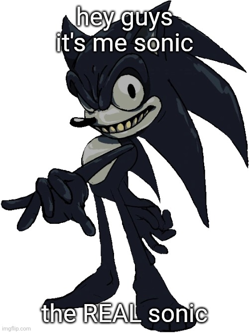 rate the new user | hey guys it's me sonic; the REAL sonic | image tagged in 2017x | made w/ Imgflip meme maker