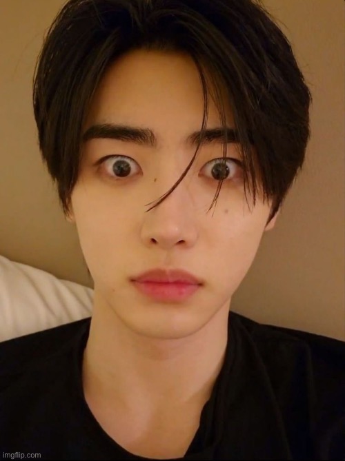 sunghoon reaction pic 7 | image tagged in sunghoon reaction pic 7 | made w/ Imgflip meme maker