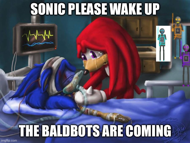 sonic please | SONIC PLEASE WAKE UP; THE BALDBOTS ARE COMING | image tagged in sonic please | made w/ Imgflip meme maker