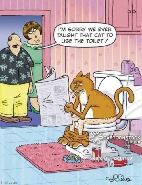 LOL… | image tagged in cats,comics,toilet training,regret | made w/ Imgflip meme maker
