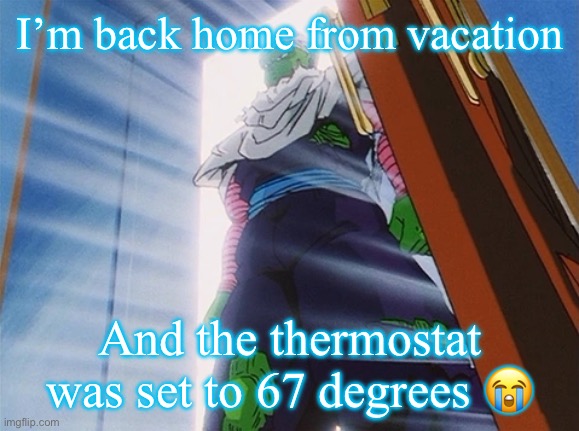Piccolo | I’m back home from vacation; And the thermostat was set to 67 degrees 😭 | image tagged in piccolo | made w/ Imgflip meme maker